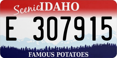 ID license plate E307915