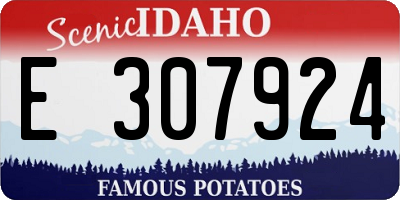 ID license plate E307924