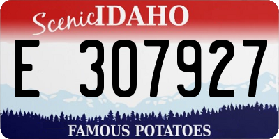 ID license plate E307927
