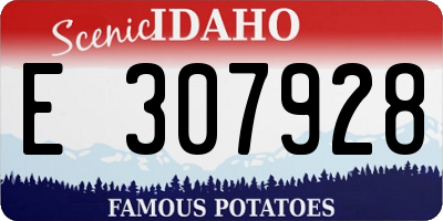 ID license plate E307928
