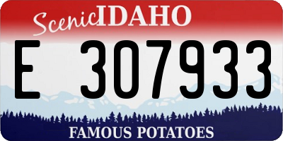 ID license plate E307933