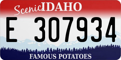 ID license plate E307934