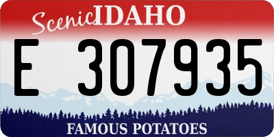 ID license plate E307935