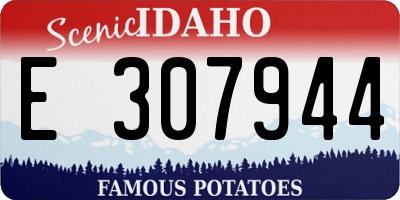 ID license plate E307944