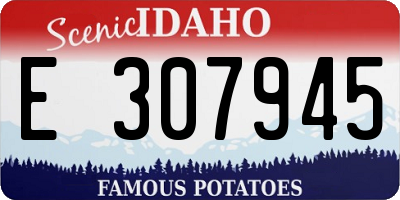 ID license plate E307945