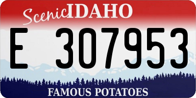 ID license plate E307953