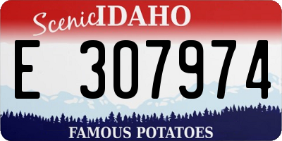 ID license plate E307974