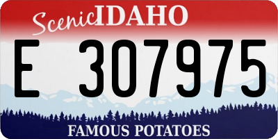ID license plate E307975