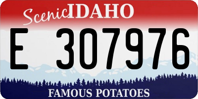 ID license plate E307976