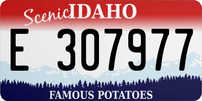 ID license plate E307977