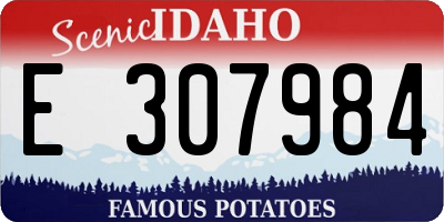 ID license plate E307984