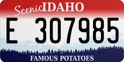ID license plate E307985