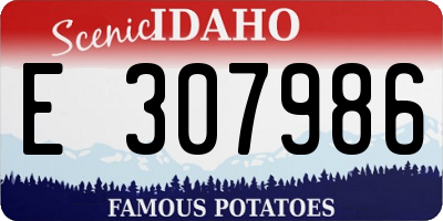 ID license plate E307986
