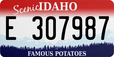 ID license plate E307987