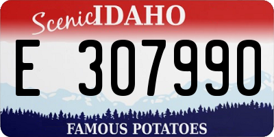 ID license plate E307990