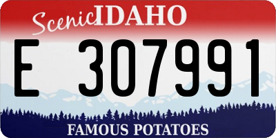ID license plate E307991