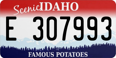 ID license plate E307993