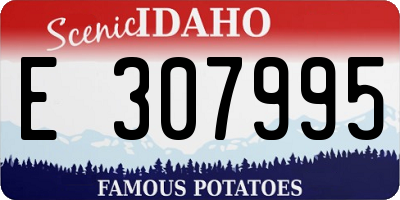 ID license plate E307995