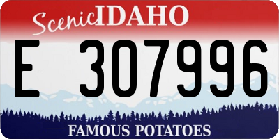 ID license plate E307996