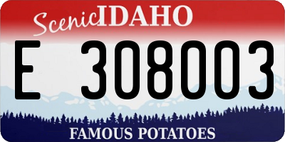 ID license plate E308003