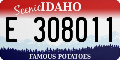 ID license plate E308011