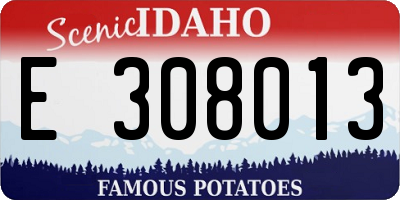 ID license plate E308013