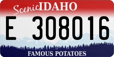 ID license plate E308016