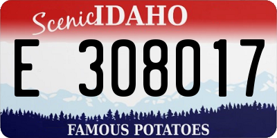 ID license plate E308017