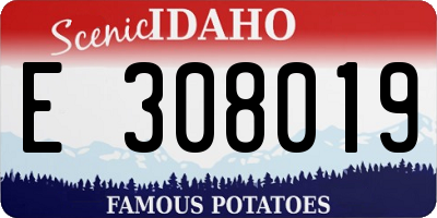 ID license plate E308019