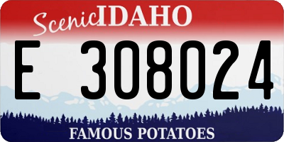 ID license plate E308024