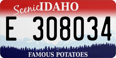 ID license plate E308034