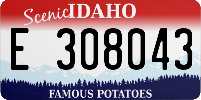 ID license plate E308043
