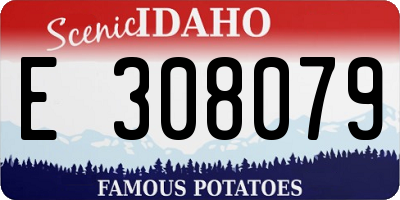 ID license plate E308079