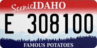 ID license plate E308100