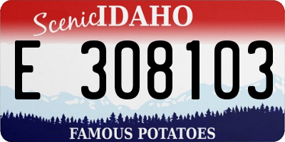ID license plate E308103
