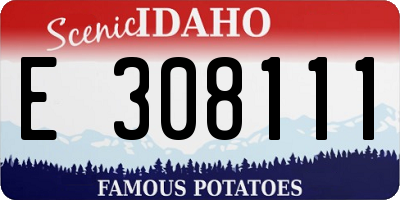 ID license plate E308111