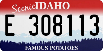 ID license plate E308113