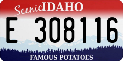 ID license plate E308116