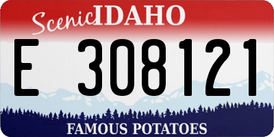 ID license plate E308121