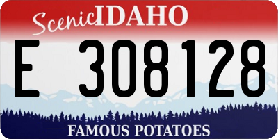 ID license plate E308128