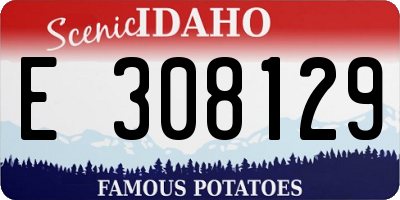 ID license plate E308129