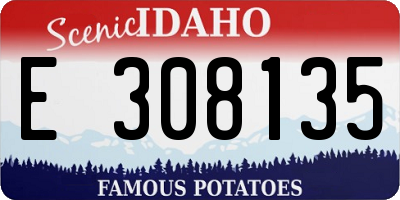 ID license plate E308135