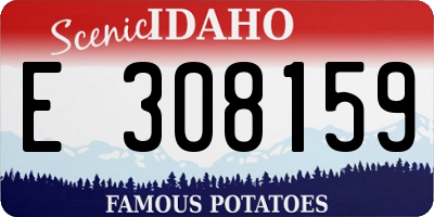 ID license plate E308159