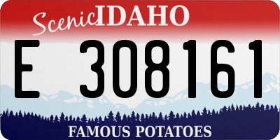 ID license plate E308161