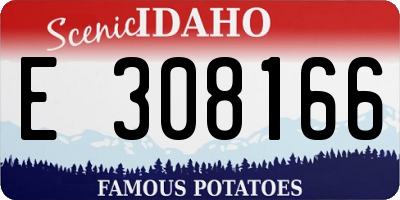 ID license plate E308166