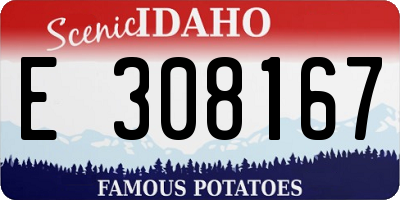 ID license plate E308167
