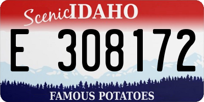 ID license plate E308172
