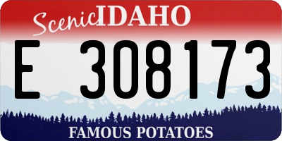 ID license plate E308173