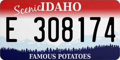 ID license plate E308174