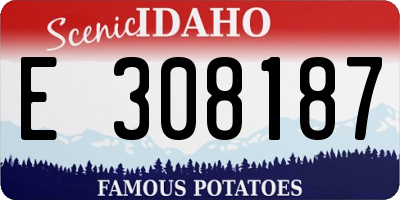ID license plate E308187